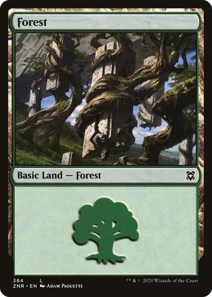 Forest, Zendikar Rising 384