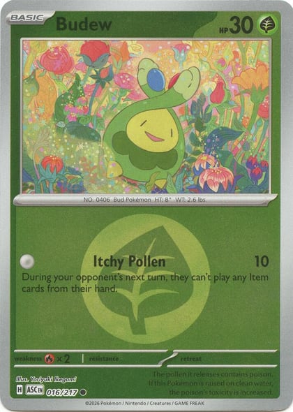 Budew - 016/217 (Energy Symbol Pattern), ME: Ascended Heroes 016/217