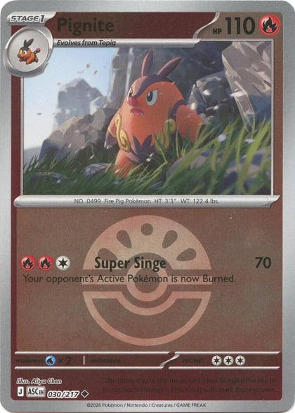 Pignite (Friend Ball), ME: Ascended Heroes 030/217