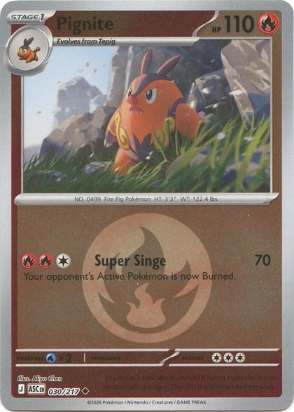 Pignite (Energy Symbol Pattern), ME: Ascended Heroes 030/217