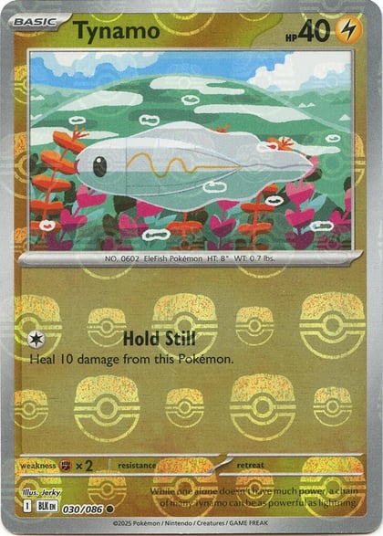 Tynamo (Master Ball Pattern), SV: Black Bolt 030/086