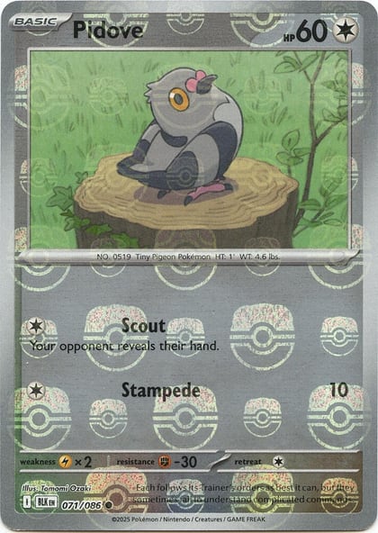 Pidove (Master Ball Pattern), SV: Black Bolt 071/086