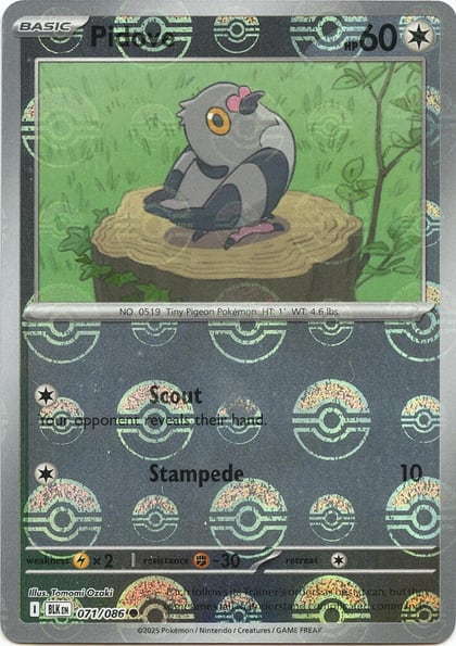 Pidove (Poke Ball Pattern), SV: Black Bolt 071/086