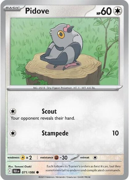 Pidove, SV: Black Bolt 071/086