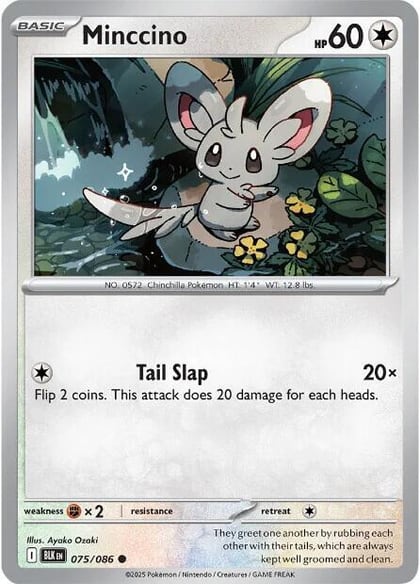 Minccino, SV: Black Bolt 075/086
