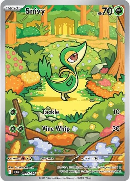 Snivy - 087/086, SV: Black Bolt 087/086
