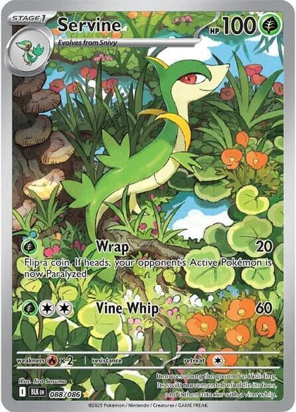 Servine - 088/086, SV: Black Bolt 088/086