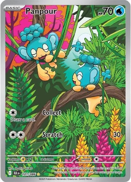 Panpour - 101/086, SV: Black Bolt 101/086
