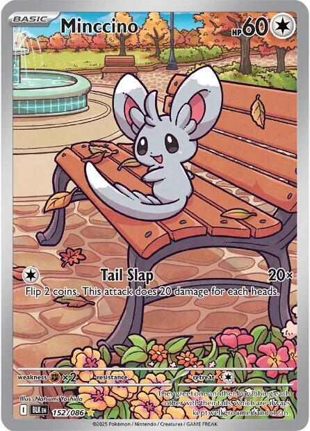 Minccino - 152/086, SV: Black Bolt 152/086