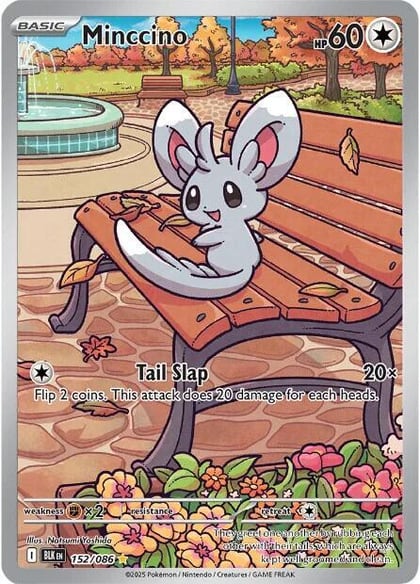 Minccino - 152/086, SV: Black Bolt 152/086