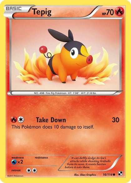 Tepig (16), Black and White 16/114