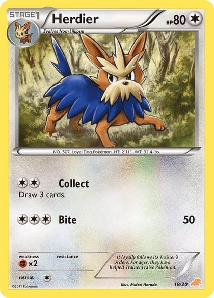 Herdier, BW Trainer Kit: Excadrill & Zoroark 19/30