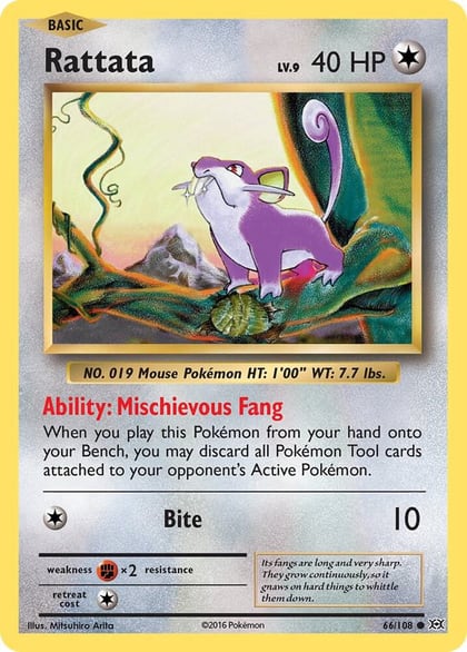 Rattata, XY - Evolutions 66/108