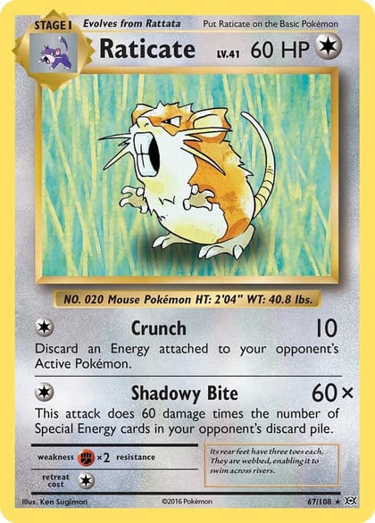 Raticate, XY - Evolutions 67/108