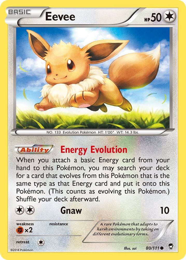 Eevee, XY - Furious Fists 80/111