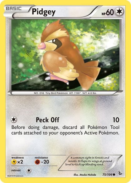 Pidgey, XY - Flashfire 75/106