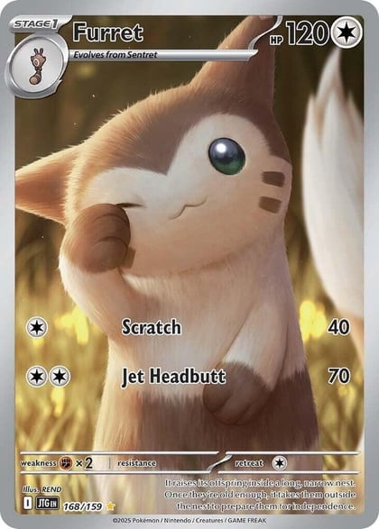 Furret - 168/159, SV09: Journey Together 168/159