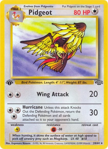 Pidgeot (24), Jungle 24/64