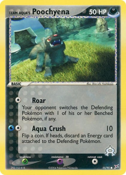 Team Aqua's Poochyena - 55/95, Team Magma vs Team Aqua 55/95