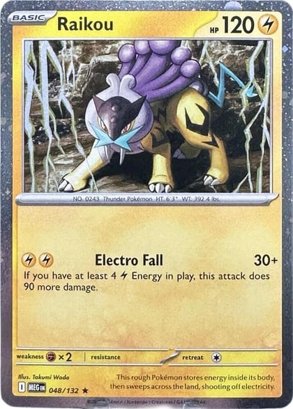 Raikou - 048/132 (Cosmos Holo), Miscellaneous Cards & Products 048/132