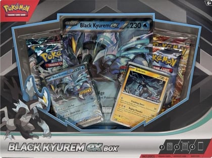 Black Kyurem ex Box, Miscellaneous Cards & Products P662745