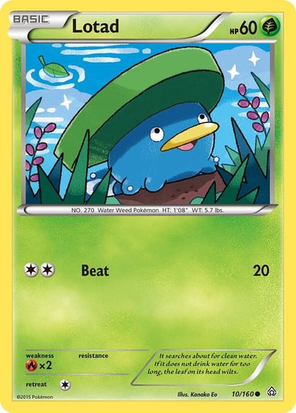 Lotad, XY - Primal Clash 10/160