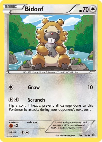 Bidoof, XY - Primal Clash 116/160