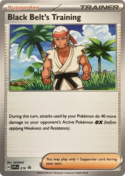 Black Belt's Training - 219, SV: Scarlet & Violet Promo Cards 219