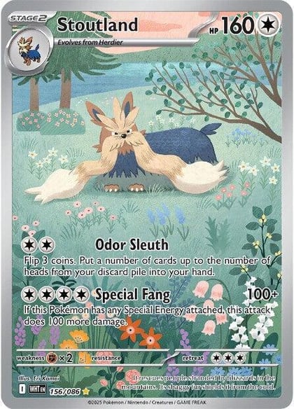 Stoutland - 156/086, SV: White Flare 156/086