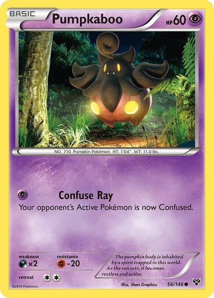 Pumpkaboo, XY Base Set 56/146