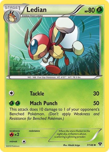 Ledian, XY Base Set 7/146