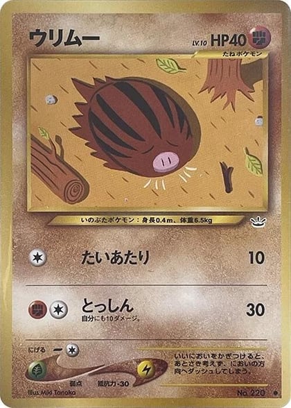 Swinub, Awakening Legends #575221