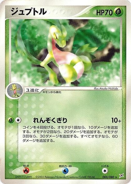 Grovyle, Magma VS Aqua: Two Ambitions 005/080