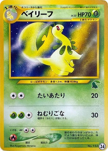 Bayleef, Intro Pack Neo (Chikorita) 24