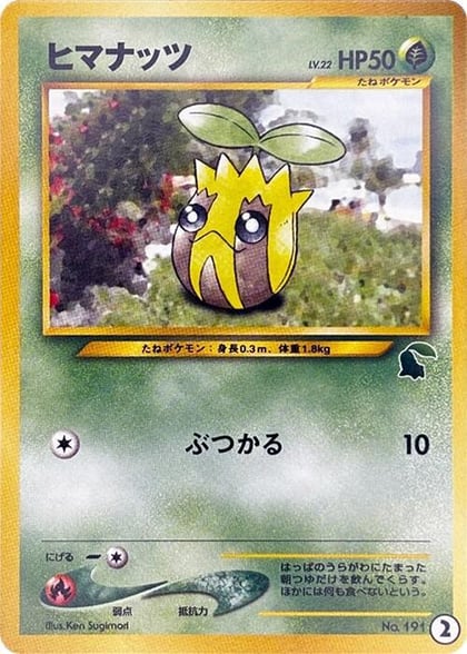 Sunkern, Intro Pack Neo (Chikorita) 2