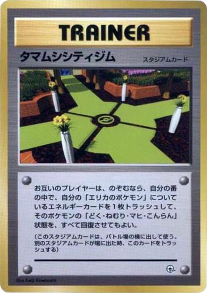 Celadon City Gym, City Gym Decks #614758
