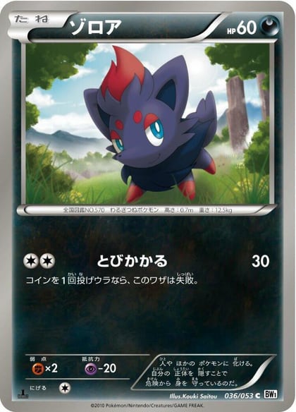 Zorua, BW1: White Collection 036/053