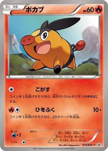 Tepig - 019/BW-P, BW-P Promotional cards 019/BW-P