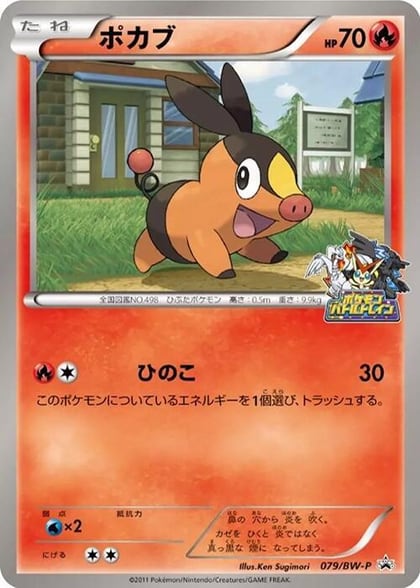 Tepig - 079/BW-P, BW-P Promotional cards 079/BW-P