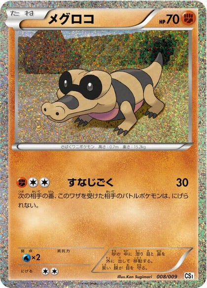 Sandile, CS1: Journey Partners Collection Sheet 008/009