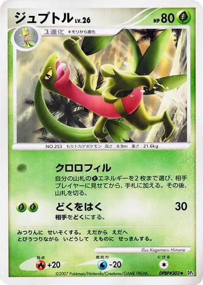 Grovyle, DP4: Dawn Dash #606837