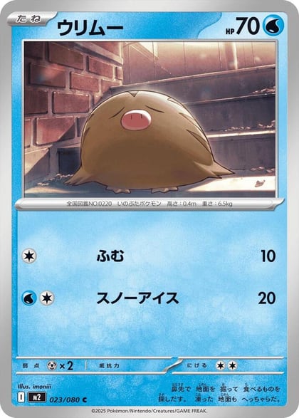 Swinub, M2: Inferno X 023/080