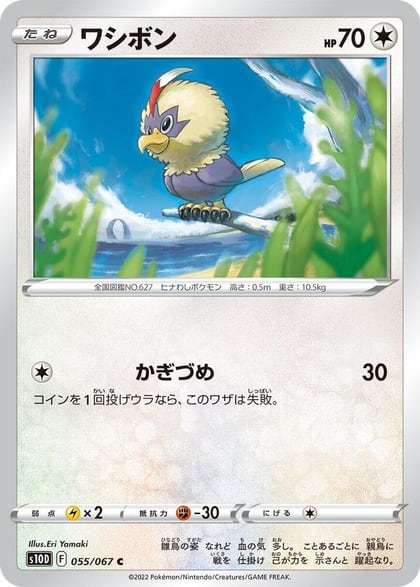 Rufflet, S10D: Time Gazer 055/067