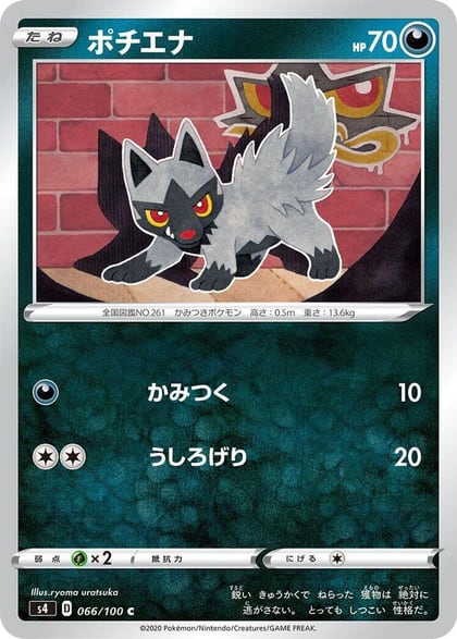 Poochyena, S4: Amazing Volt Tackle 066/100