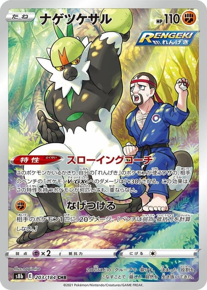 Passimian - 203/184, S8b: VMAX Climax 203/184