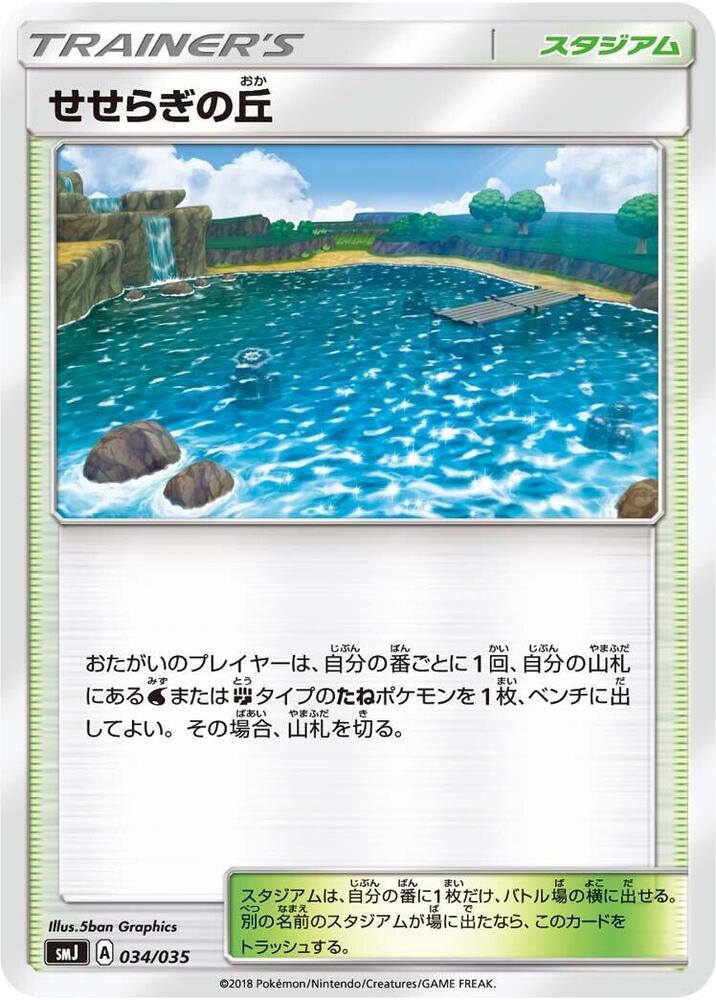 Brooklet Hill, smJ: Tag Team GX Premium Trainer Box 034/035