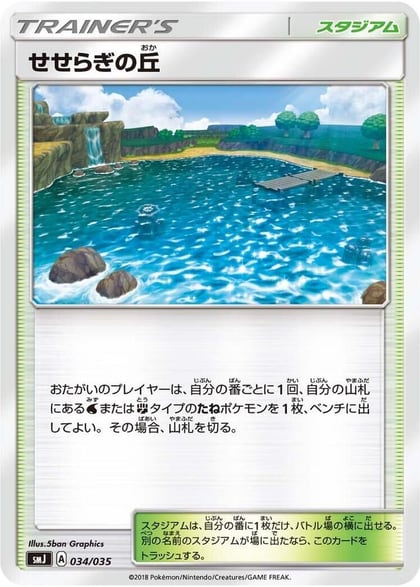 Brooklet Hill, smJ: Tag Team GX Premium Trainer Box 034/035