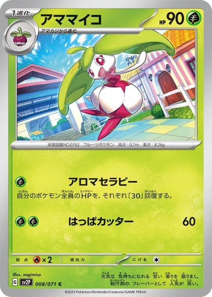 Steenee, SV2P: Snow Hazard 008/071