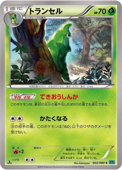 Metapod, XY2: Wild Blaze 002/080