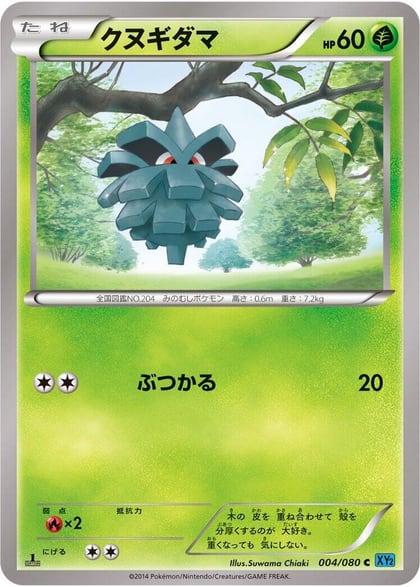 Pineco, XY2: Wild Blaze 004/080